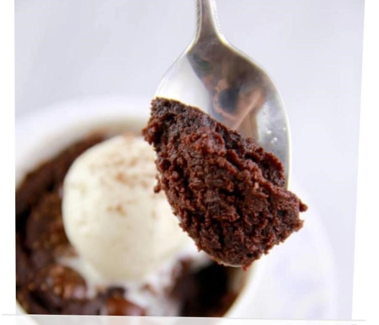 mug cake moist